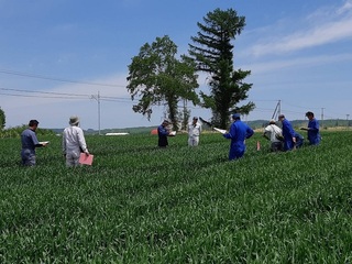 試験展示ほの状況確認