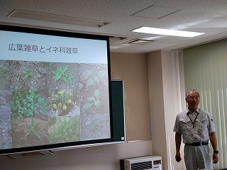 雑草クイズ：広葉雑草とイネ科雑草どっち？