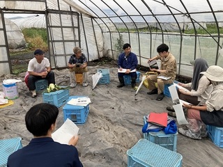 ブロッコリー試験の説明