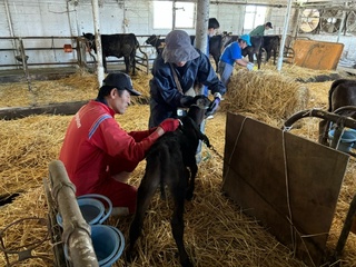 肉牛巡回指導に同行