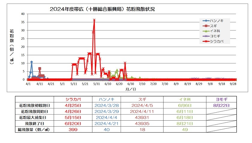 061009シラカバ花粉年間チャート修正版.jpg