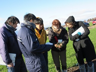 小麦の葉数の数え方を学ぶ