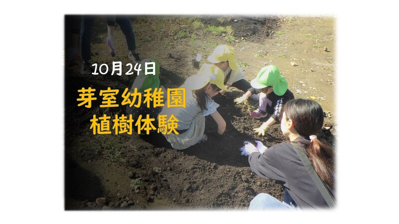 令和6年10月24日　芽室幼稚園　植樹体験