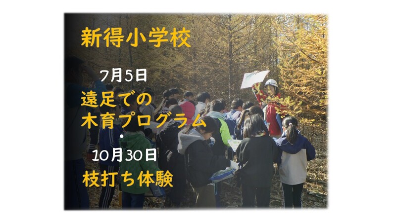 令和6年7月５日　新得小学校　遠足における木育プログラム、令和6年10月30日　枝打ち体験　