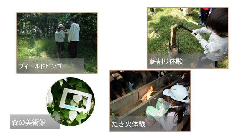 令和6年7月5日　新得小学校　遠足における木育プログラム