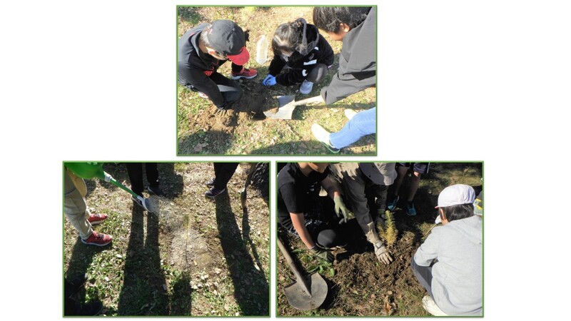 札内北小学校　植樹・育樹教育