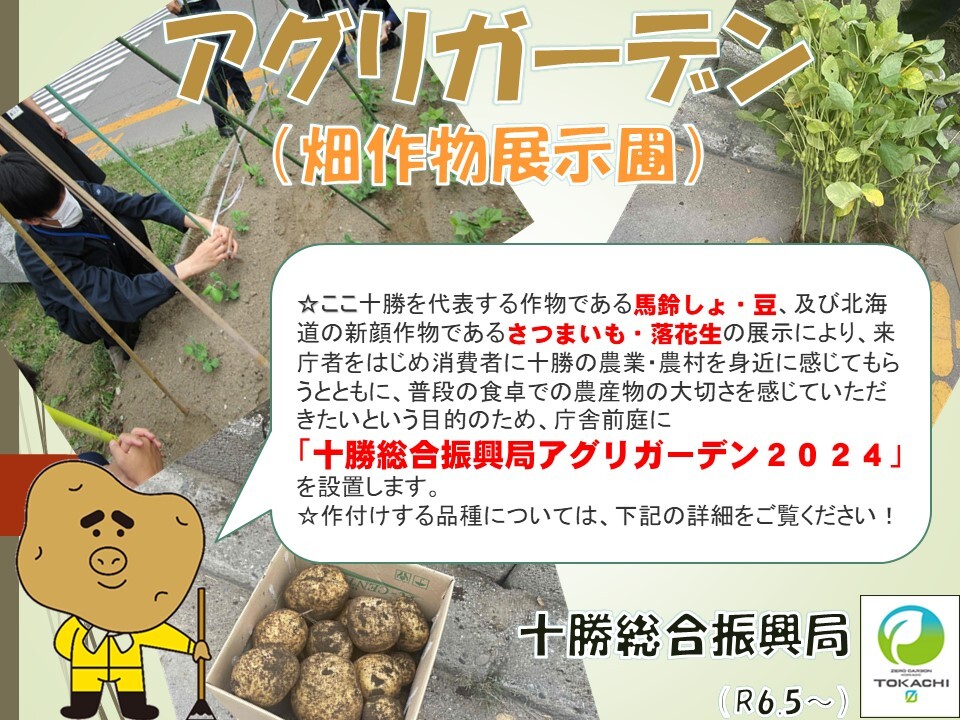 ポスター1 (JPG 234KB)