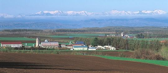 photo01.jpg