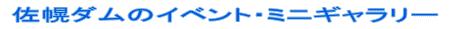 log231.gif