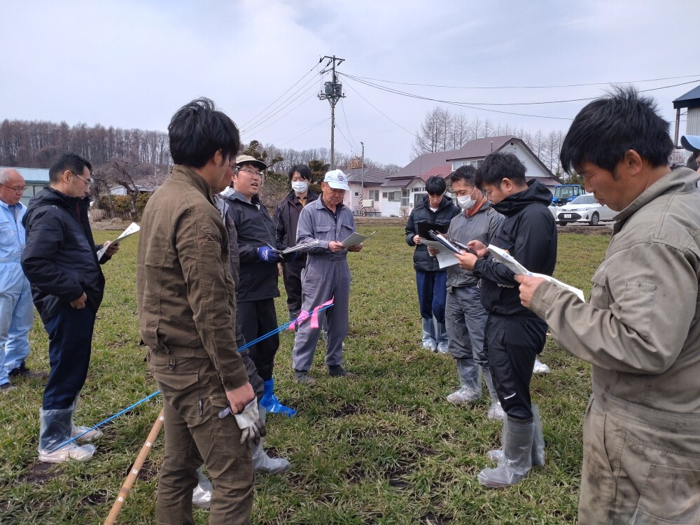 茎数を数えてみよう！（新得町）