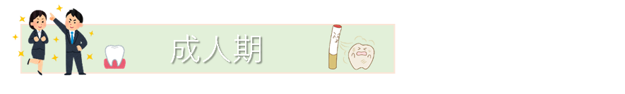 (図)成人期 (PNG 29KB)