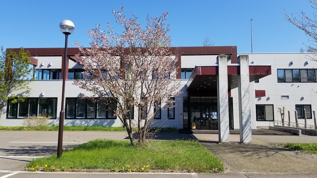 事務所近景（桜）