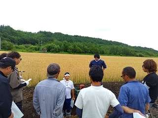 断面調査から分かることについて解説