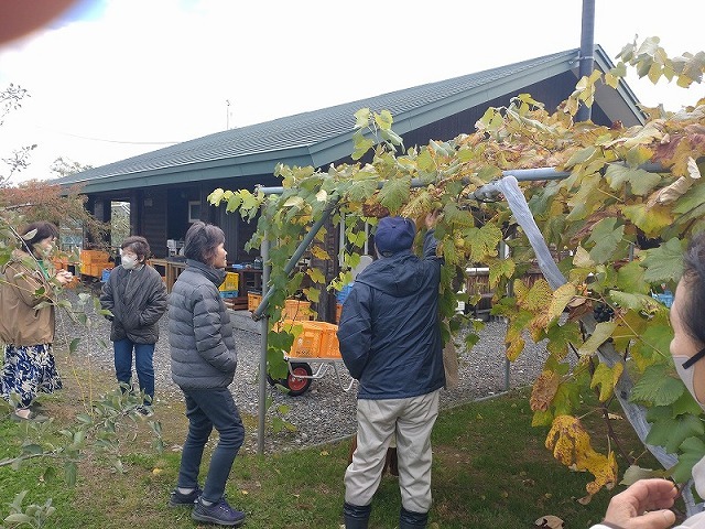 園地にて果樹の管理を学ぶ