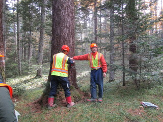 地域見学実習②