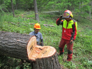 長期就業実践実習04