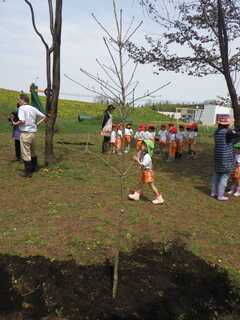 R0033196 (JPG 12.2KB)