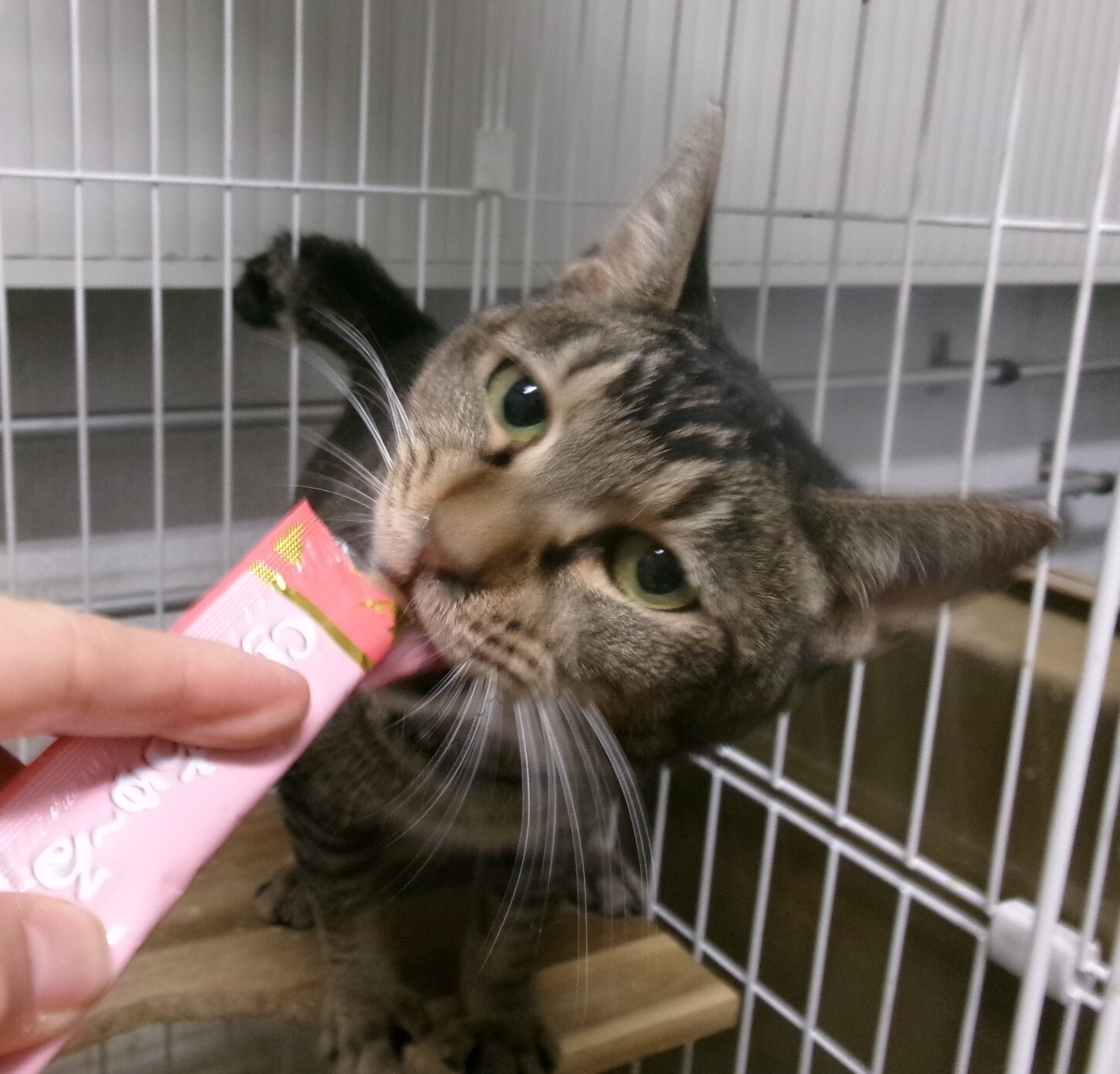 199_1011 (2) (JPG 398KB)