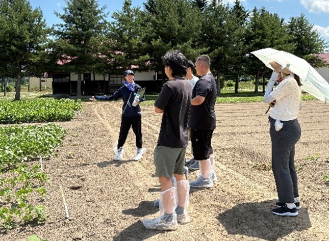 現地実習の様子