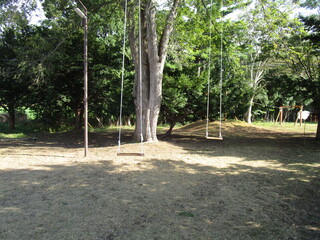 完成したブランコ