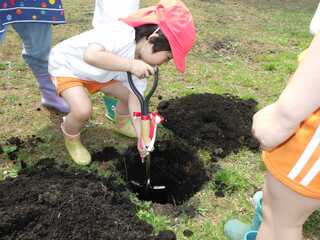 R0033188 (JPG 13.2KB)