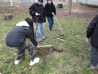 植樹の様子