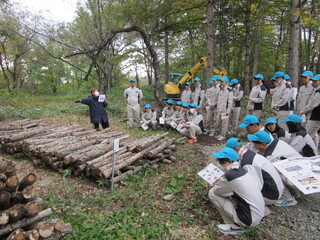 拓鐵キノコタン
