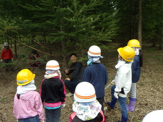 新得小学校木育授業①