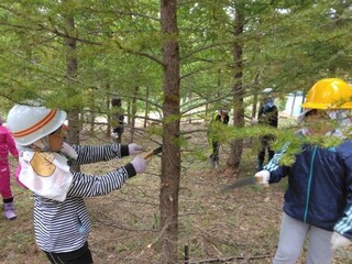 新得小学校木育授業②