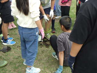 白人小学校木育授業②