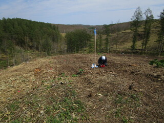 植林アルバイトツアー01