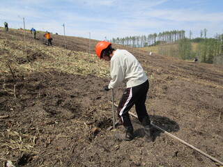 植林アルバイトツアー02