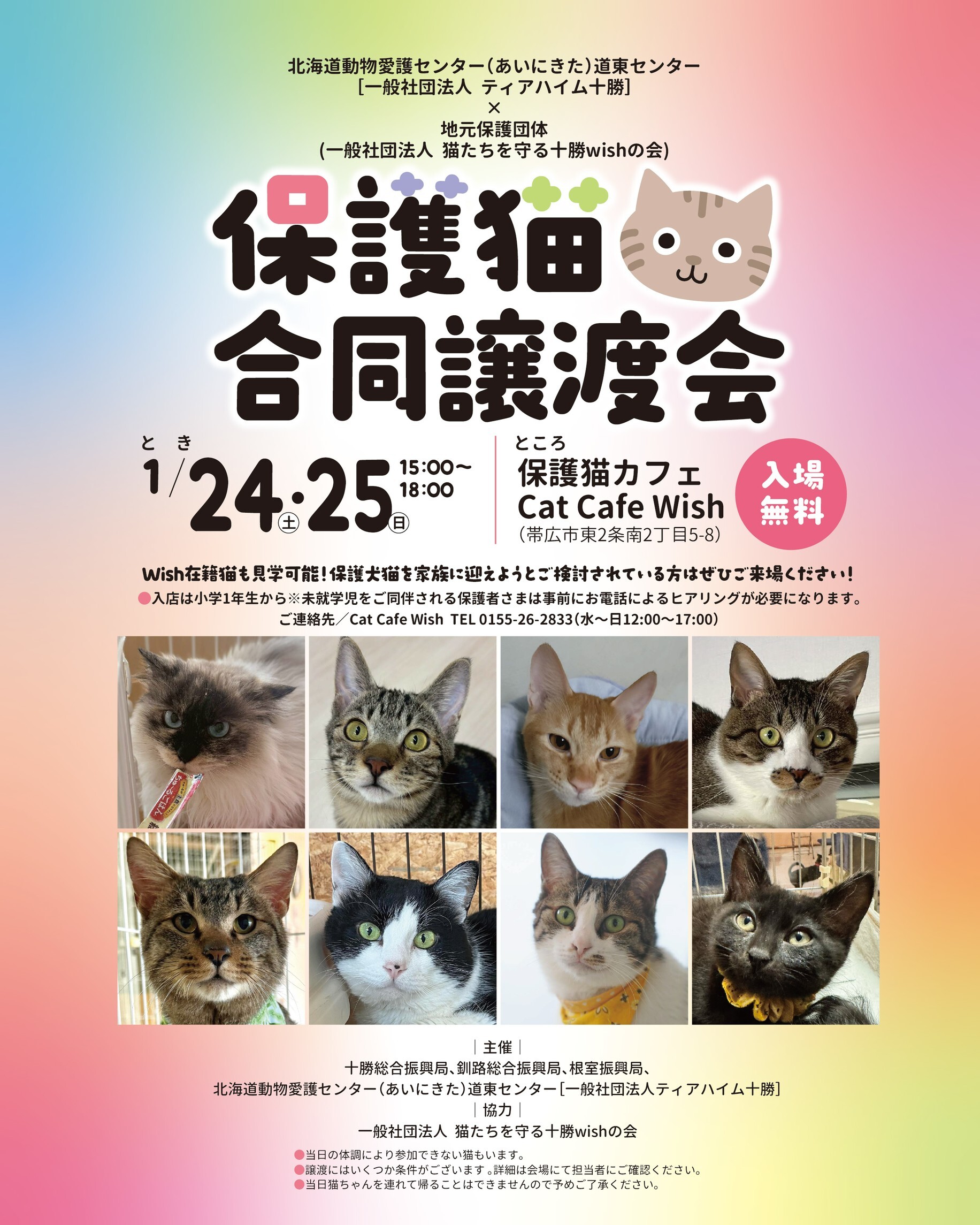 譲渡会 (JPG 676KB)