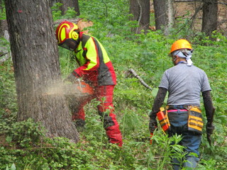 長期就業実践実習03