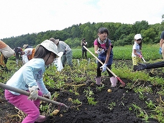 agri23.jpg