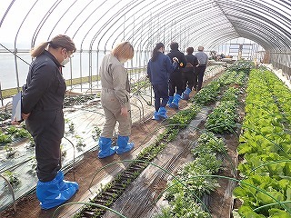 農場内にある家庭菜園を見学