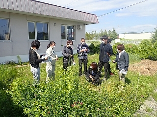 草種の見分け方を実践しています（専門基礎講座：畜産）