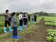 写真_小笠原農園（大豆ほ場）