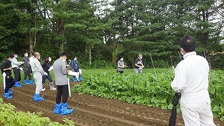 てんさい施肥試験について説明