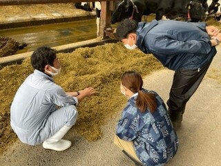 写真1 農場のエサ作りについて聞き取り