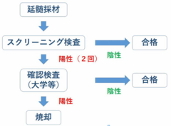 TSE検査の流れ