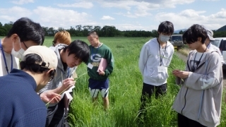 現地研修の様子