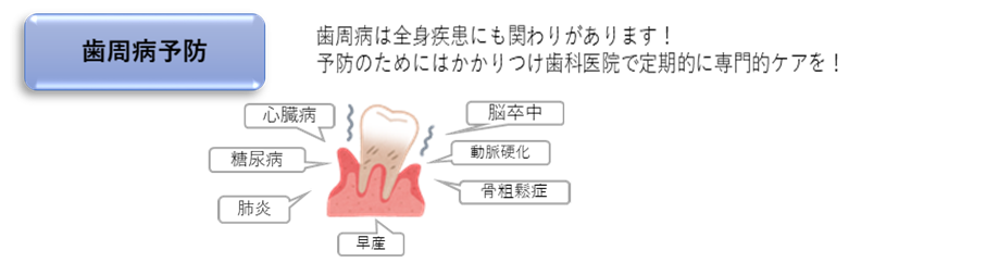 図_歯周病 (PNG 65.9KB)