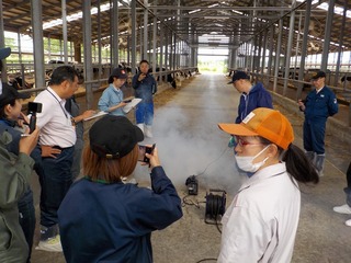 スモーク発生器を使用した牛舎内の換気状況評価の様子