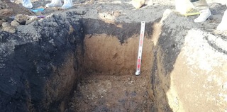 調査した土壌の断面（サブソイラ等による改良の痕跡が確認できる）
