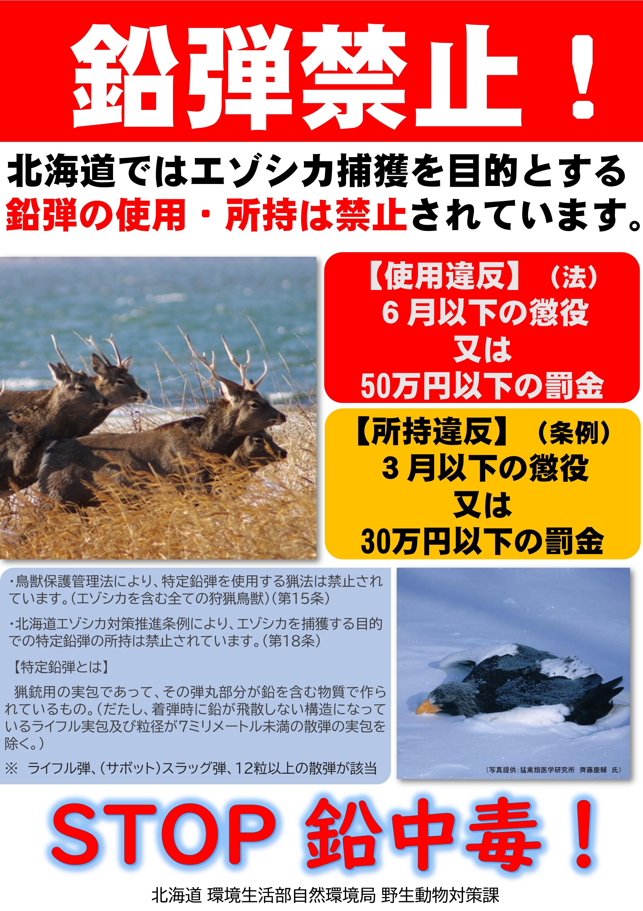 R5狩猟者登録時配布チラシ_鉛弾禁止 (JPG 1.02MB)